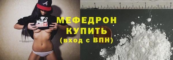 крисы Бородино