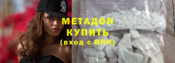 крисы Бородино