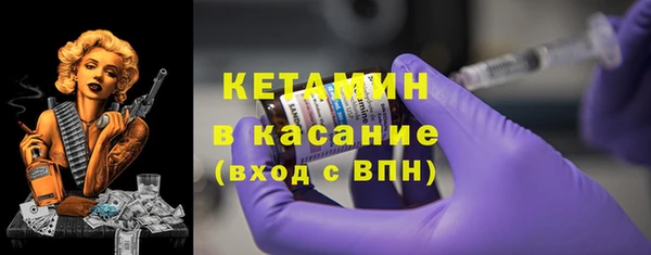индика Верея