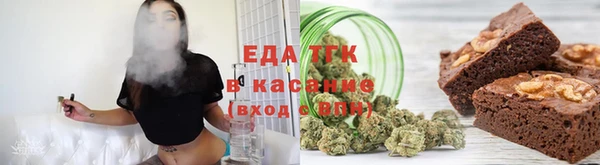крисы Бородино