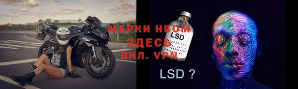 индика Верея