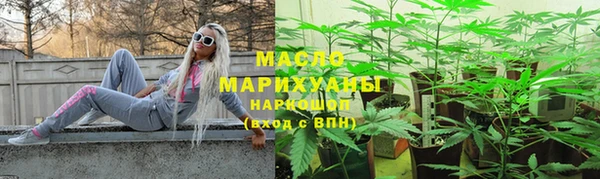 крисы Бородино