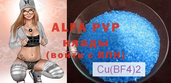 крисы Бородино