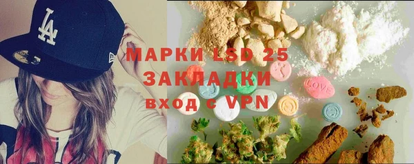 крисы Бородино