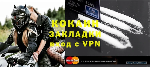 индика Верея