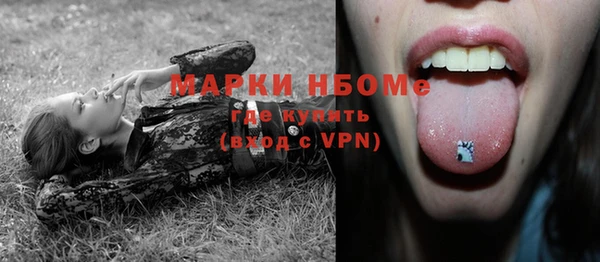крисы Бородино