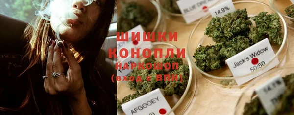 крисы Бородино