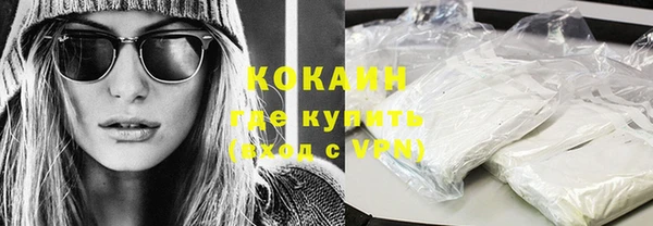 крисы Бородино