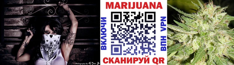 Каннабис сатива Саранск